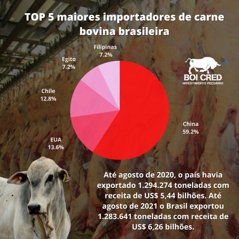 TOP 5 maiores importadores de carne bovina brasileira Conteúdo e