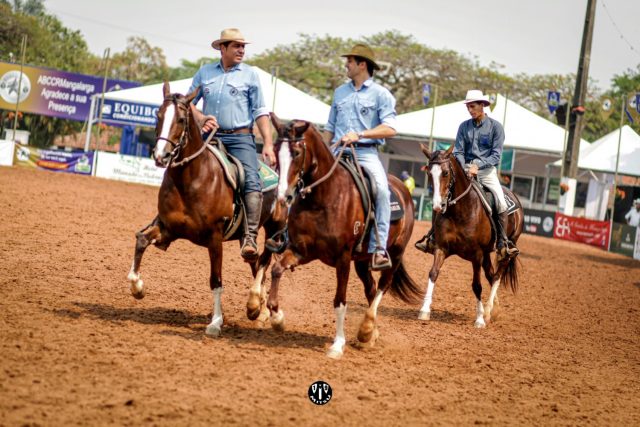 Confira A Programa O Da Nacional Mangalarga Compre Rural