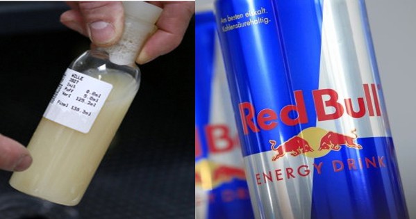 Bebida Energetica Red Bull E Feita Com Semen Bovino