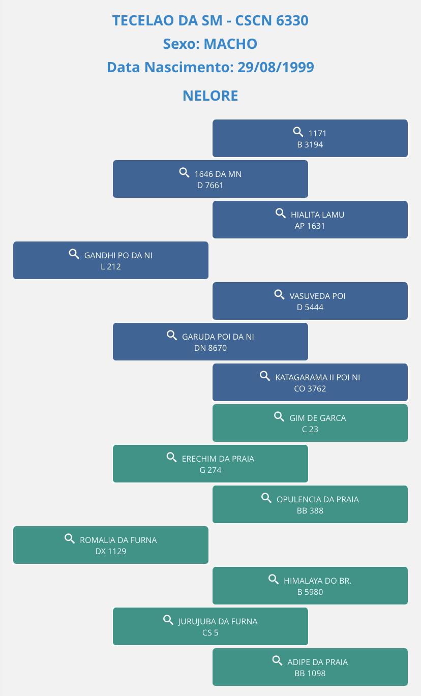 Genealogia do Tecelão da SM / Fonte: ABCZ