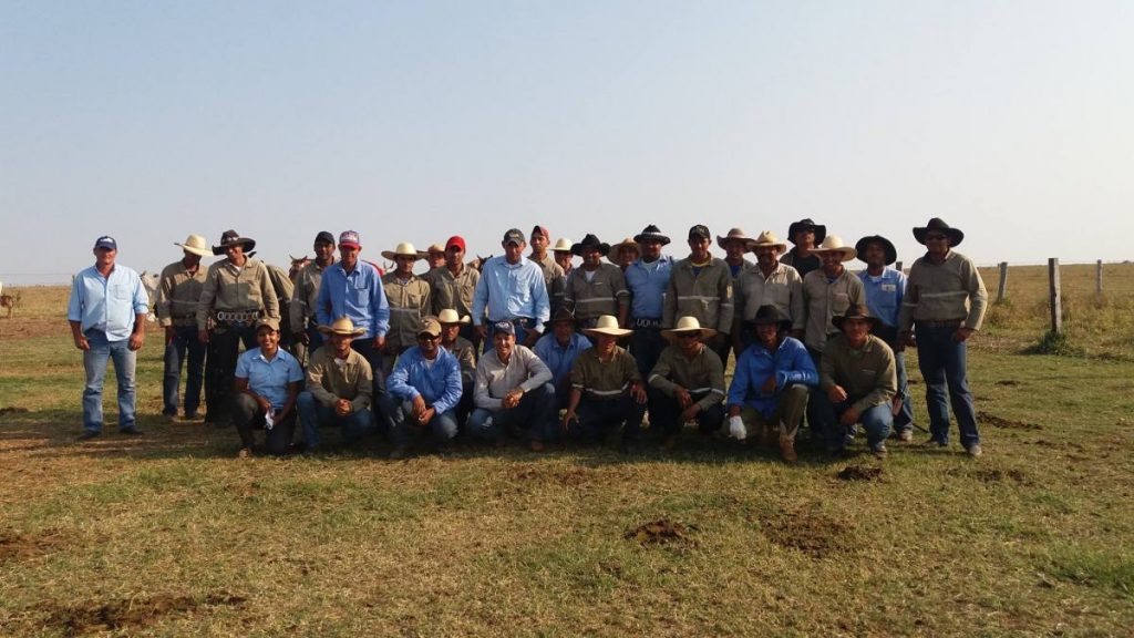 Equipe de trabalho fazenda