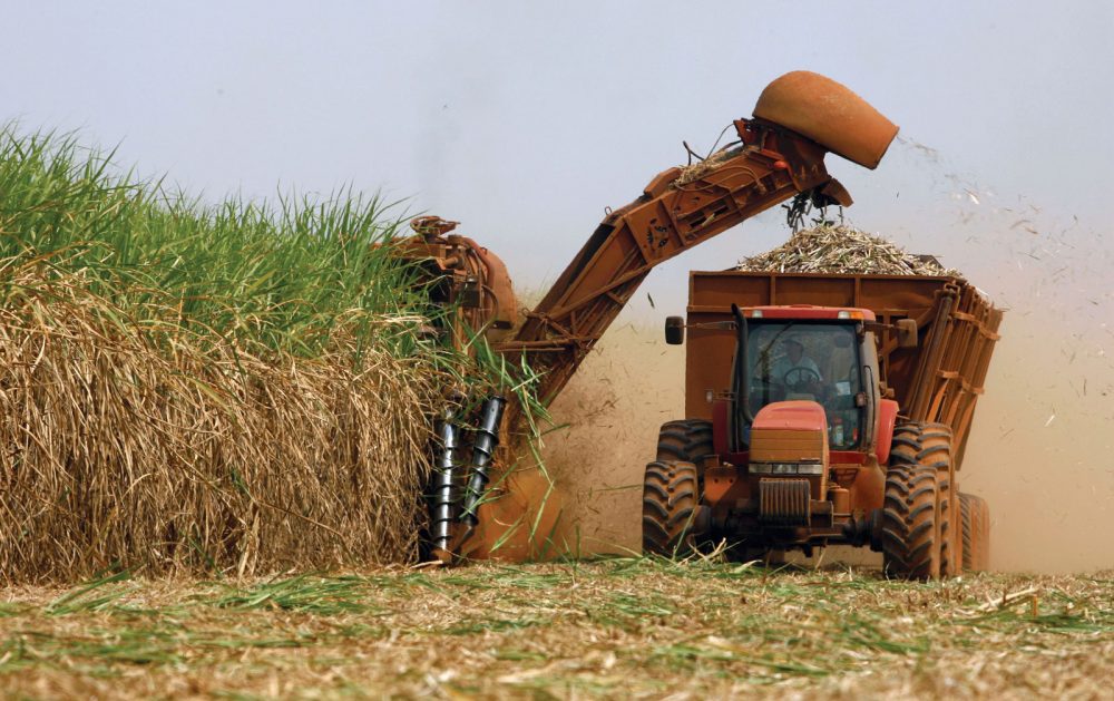 Produção brasileira de cana-de-açúcar pode chegar a 646 mi de toneladas