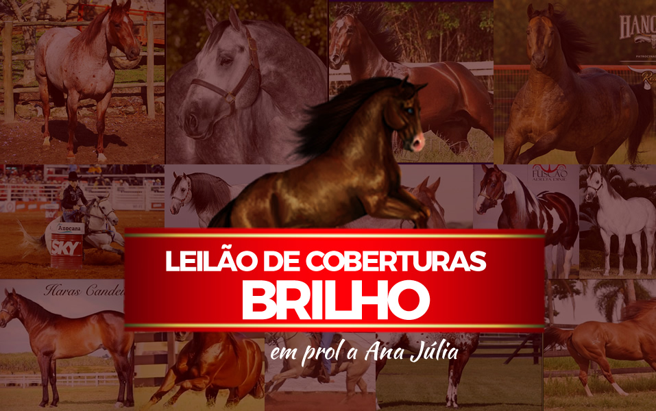 leilao-brilho-de-coberturas