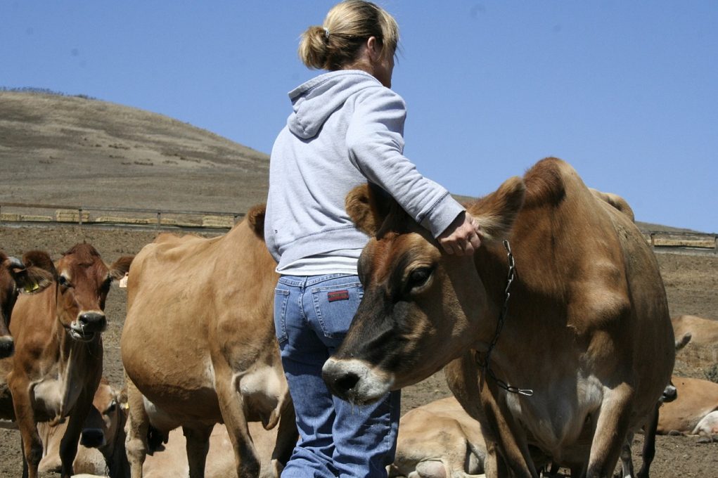 mulheres no agronegócio