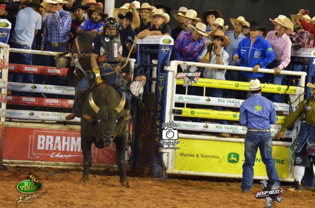 Terror das arenas, touro mais temido entre peões de rodeio está