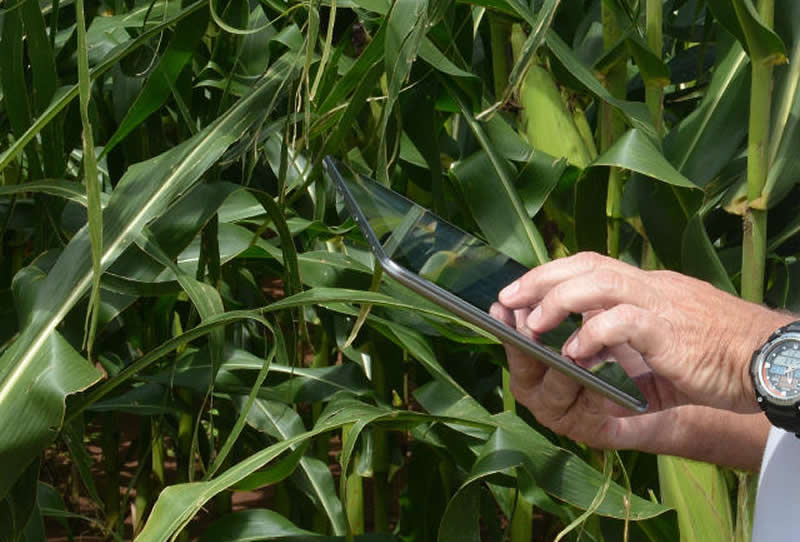 tecnologia na agricultura