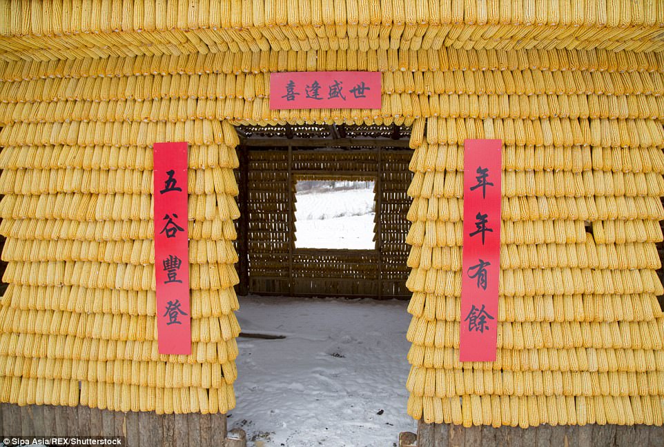 chines-constroi-casa-de-milho