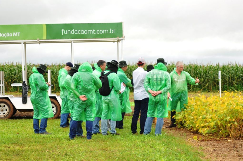 Fundação MT-em-Campo