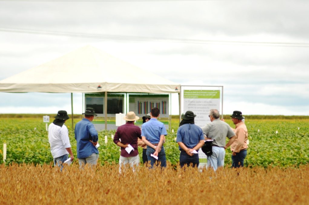 Fundação MT-em-Campo