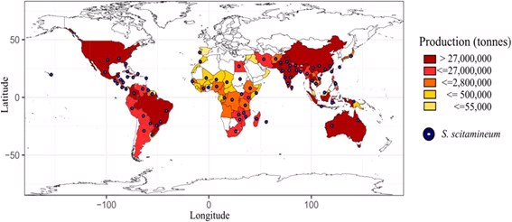 Distribuição-da-doença-em-países-que-cultivam-cana-de-açúcar