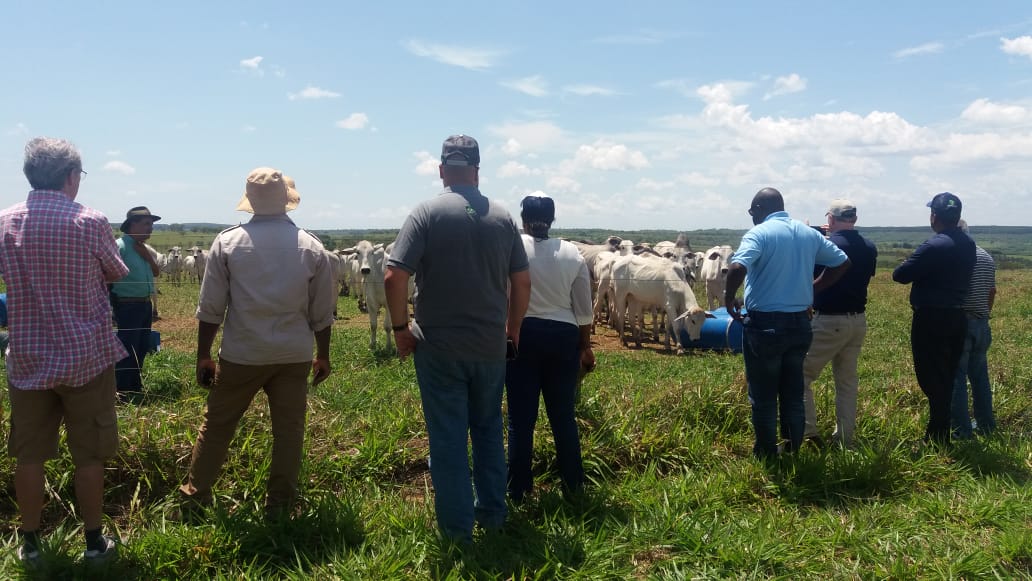 Fazenda Mundo Novo