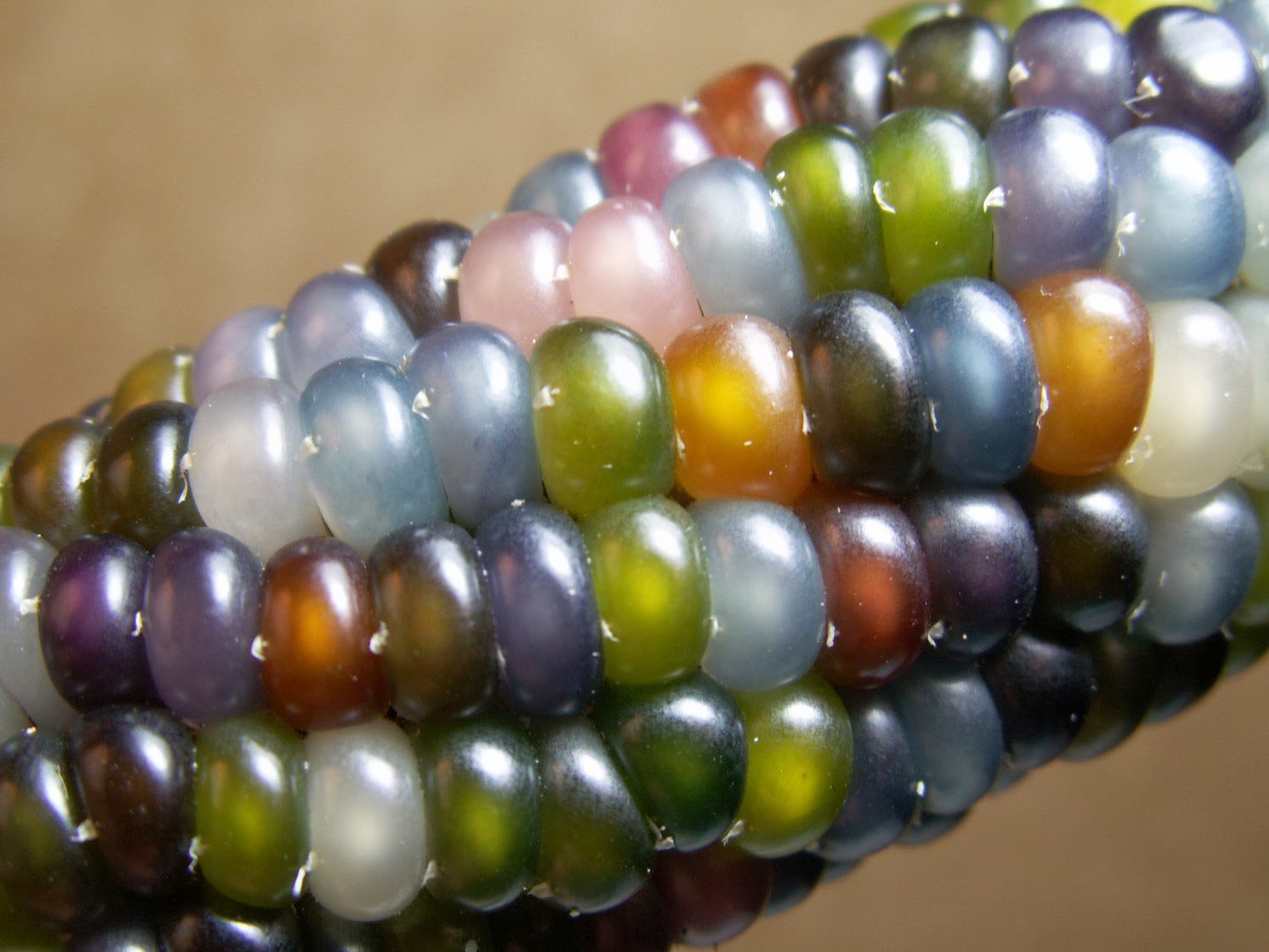 3-Glass-Gems-corn-varie1