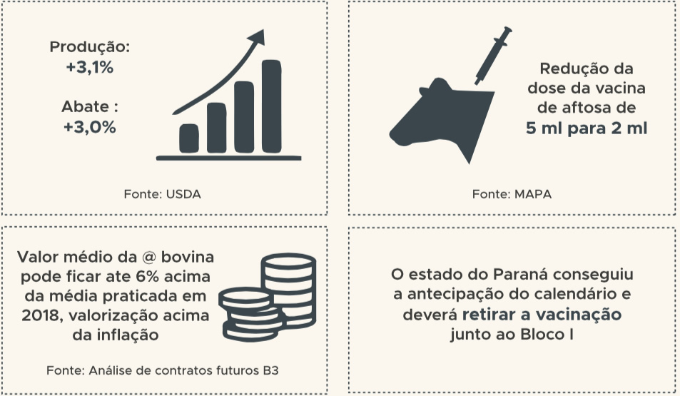 perspectivas-para-2019-da-pecuaria-de-corte