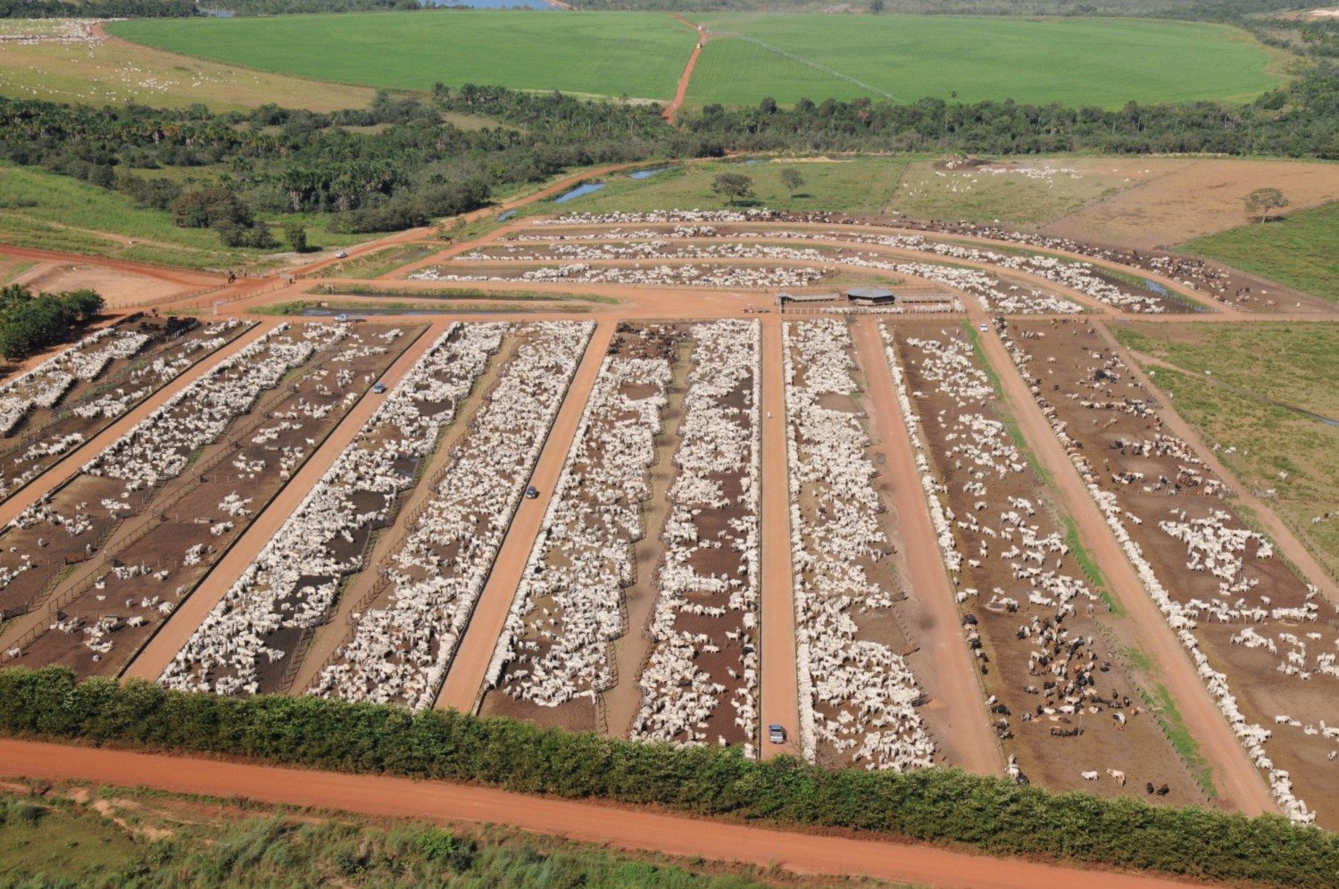 FAZENDA CONFORTO