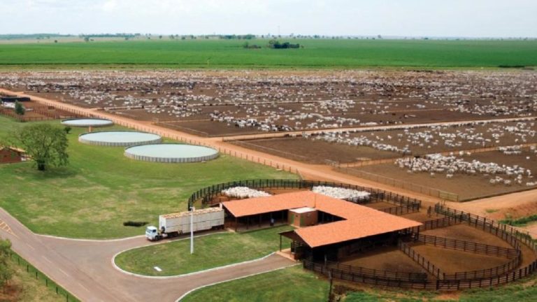 Conheça as maiores fazendas do país vídeo CompreRural