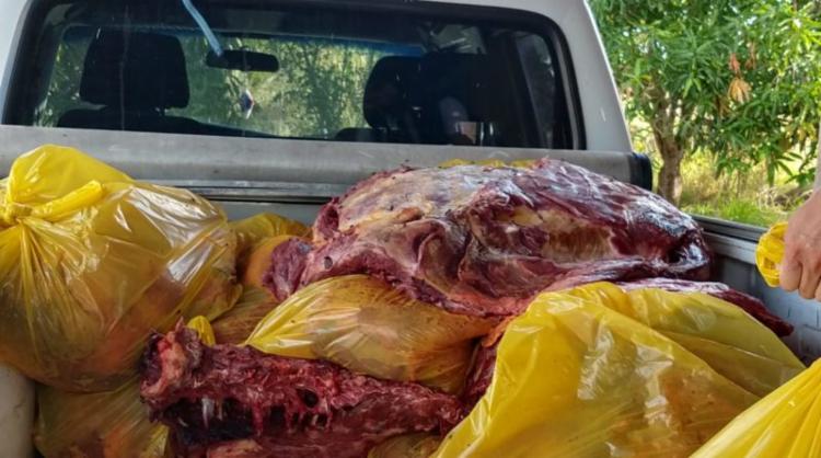 Açougue vendia carne de cavalo como se fosse de boi e polícia