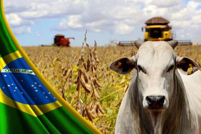 Vídeo Evolução De 50 Anos Da Agropecuária Brasileira Compre Rural 