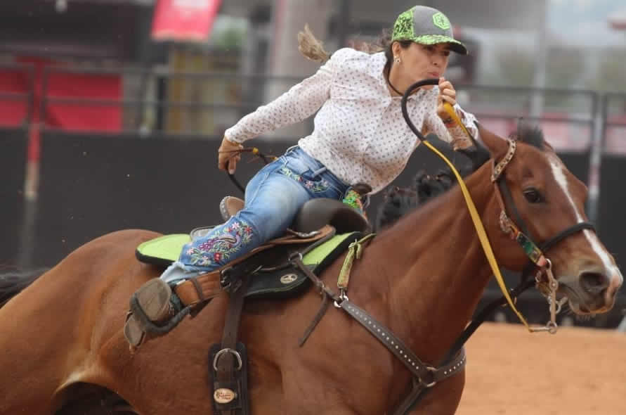 E se não houvesse Esportes Equestres