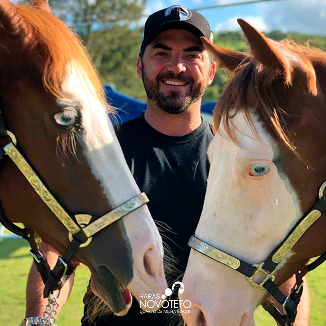 cristiano novoteto com cavalos quarto de milha