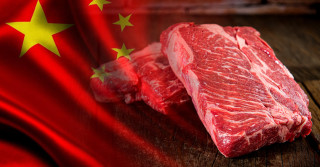 carne vermelha brasileira vai pra china