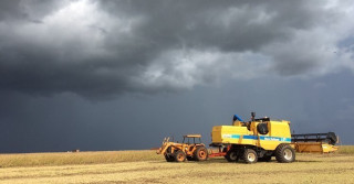 fazendo colheita e a tempestade chegando