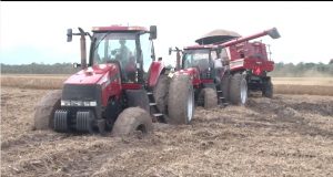 problemas com chuvas na soja em mato grosso