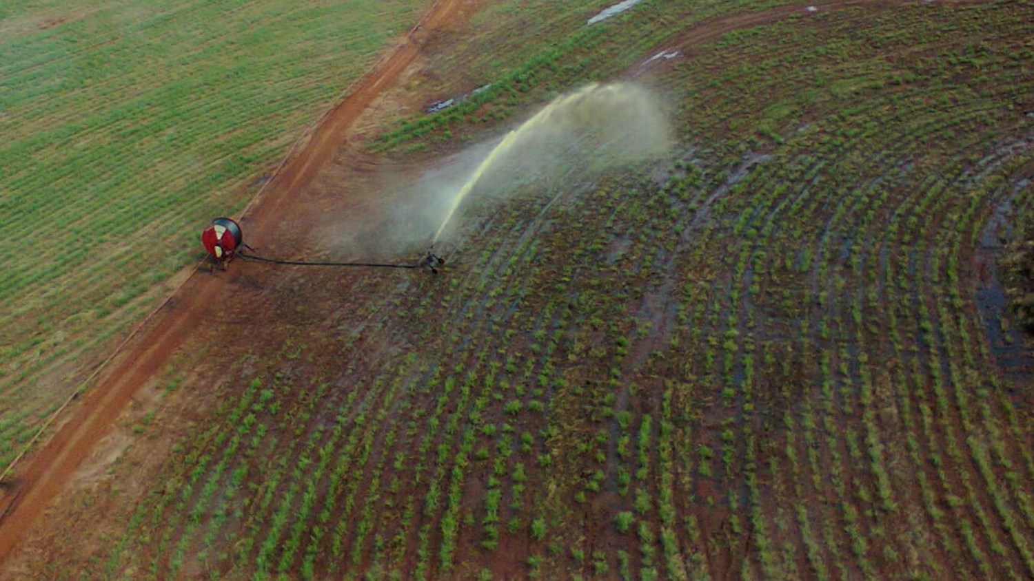 Na foto, aplicação de vinhaça como fertilizante. Foto: Jarbas Yurasseck Jr./Commons