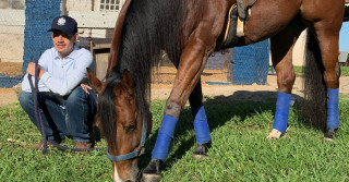 Cavalos oferecem melhor qualidade de vida às pessoas autistas