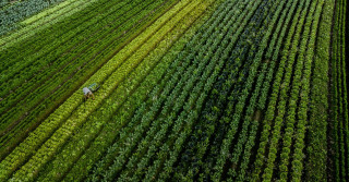 Segundo informações da BrasilAgro, a plataforma emite notificações ao identificar a presença de fogo nas propriedades circunvizinhas.