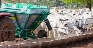 Tecnologia para manejo nutricional de bovinos à pasto é tendência para aumentar resultados em 2021