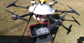 drones transportando genetica suina