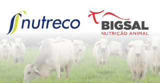 Nutreco faz aquisição da Bigsal Nutrição Animal