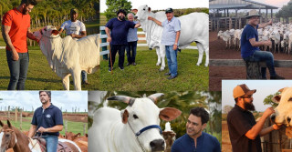 sertanejos da pecuaria