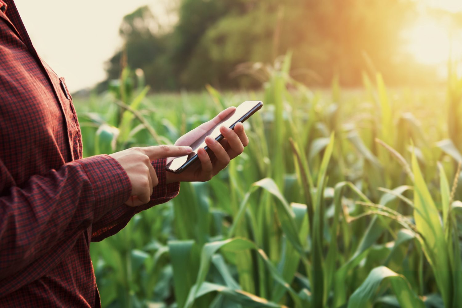 Energia e conectividade ainda são gargalos para produtor rural