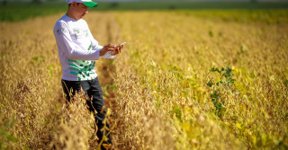 À medida que a agricultura se transforma rapidamente, é crucial que esses profissionais estejam bem informados e prontos para implementar táticas avançadas que os ajudem a superar novos obstáculos, incluindo os desafios na gestão agrícola de fazendas.