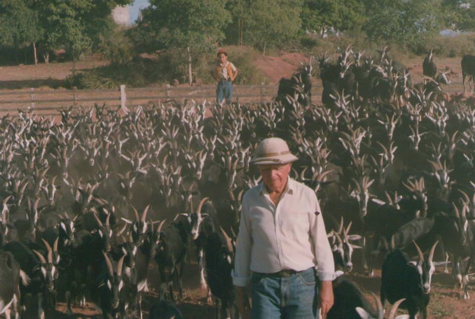 Joãozito Andrade, que chegou a ter 8.000 animais