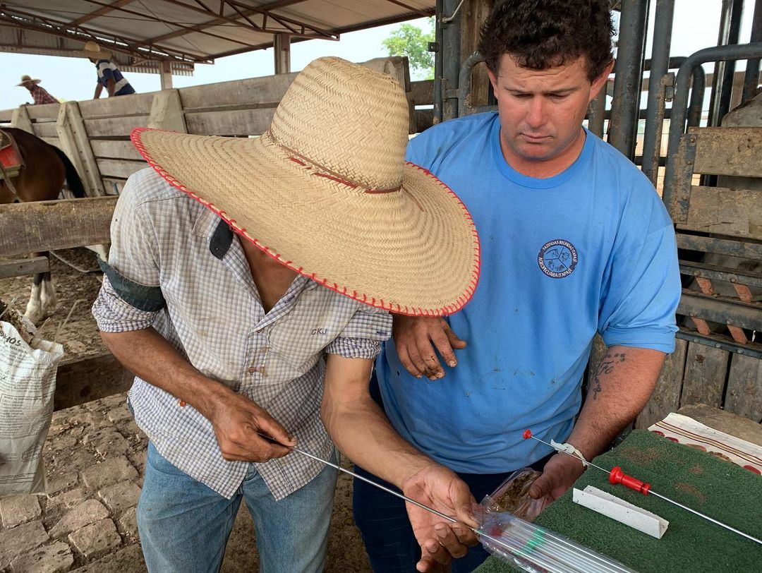 preparando vareta de inseminacao de vacas iatf