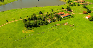 Fazenda de cria planeja quintuplicar a lotação de animais por hectare