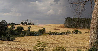 fazenda com silo ao fundo acabou de colher com previsao de chuva