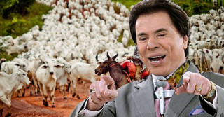 fazendas de silvio santos