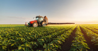 Alguns são curiosos, outros surpreendem pela magnitude dos números, mas todos são de interesse geral. Confira algumas curiosidades sobre o agro que você precisa conhecer!