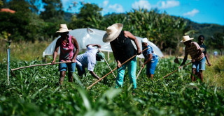 agricultura familiar