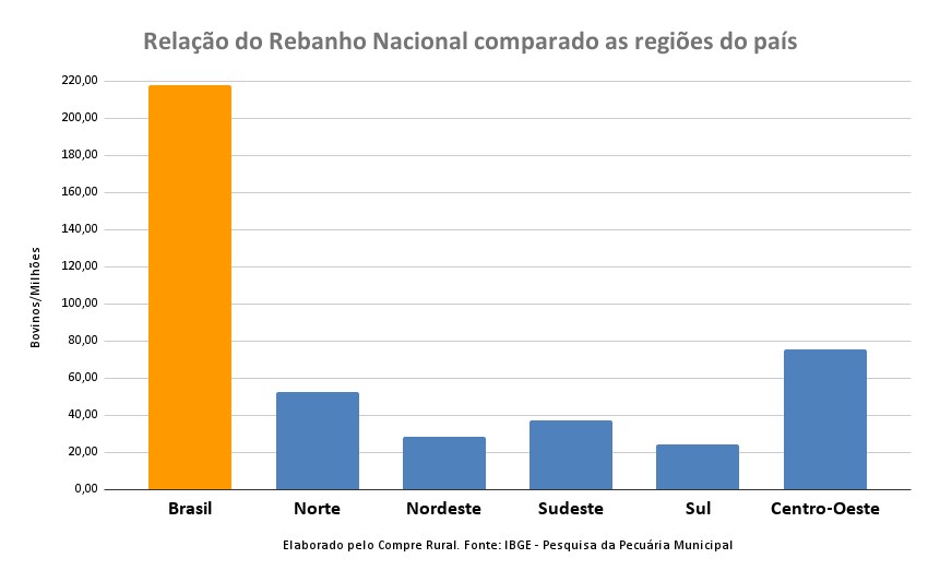 MT possui o maior rebanho bovino do país pelo sexto ano