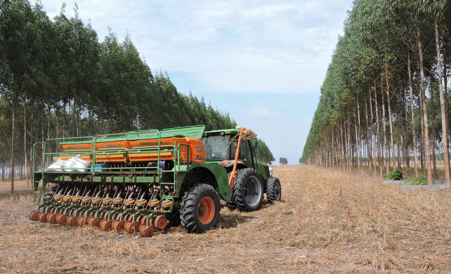 plantio da soja em ilpf em mato grosso