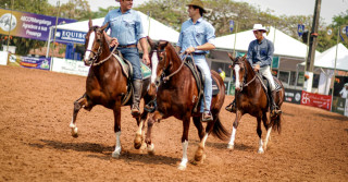 A marcha da raça estará em evidência na 43ª Expo Nacional / Foto: Márcio Mitsuishi.