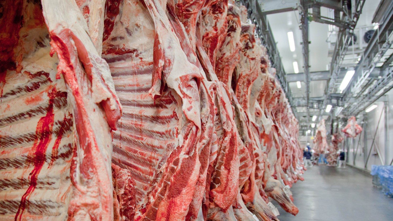 Carne-bovina -e-processada-em-frigorifico-brasileiro-e1630773282141