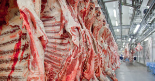 Carne-bovina -e-processada-em-frigorifico-brasileiro-e1630773282141