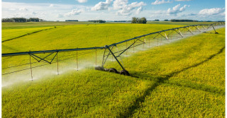 Tecnologia ajuda produtor a otimizar o uso dos insumos e ser eficiente na irrigação