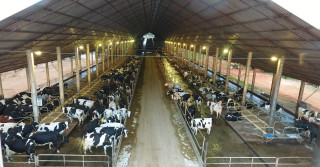 divulgação-semex-fazenda-melkstad