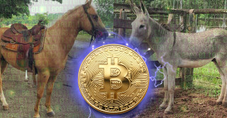 primeira fazenda aceitar bitcoin - cavalos